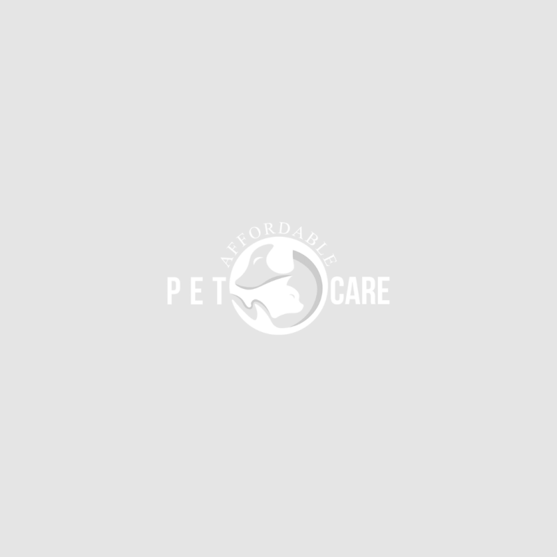 Our Team Stanwood Veterinarian Vet Clinic Affordable Pet Care