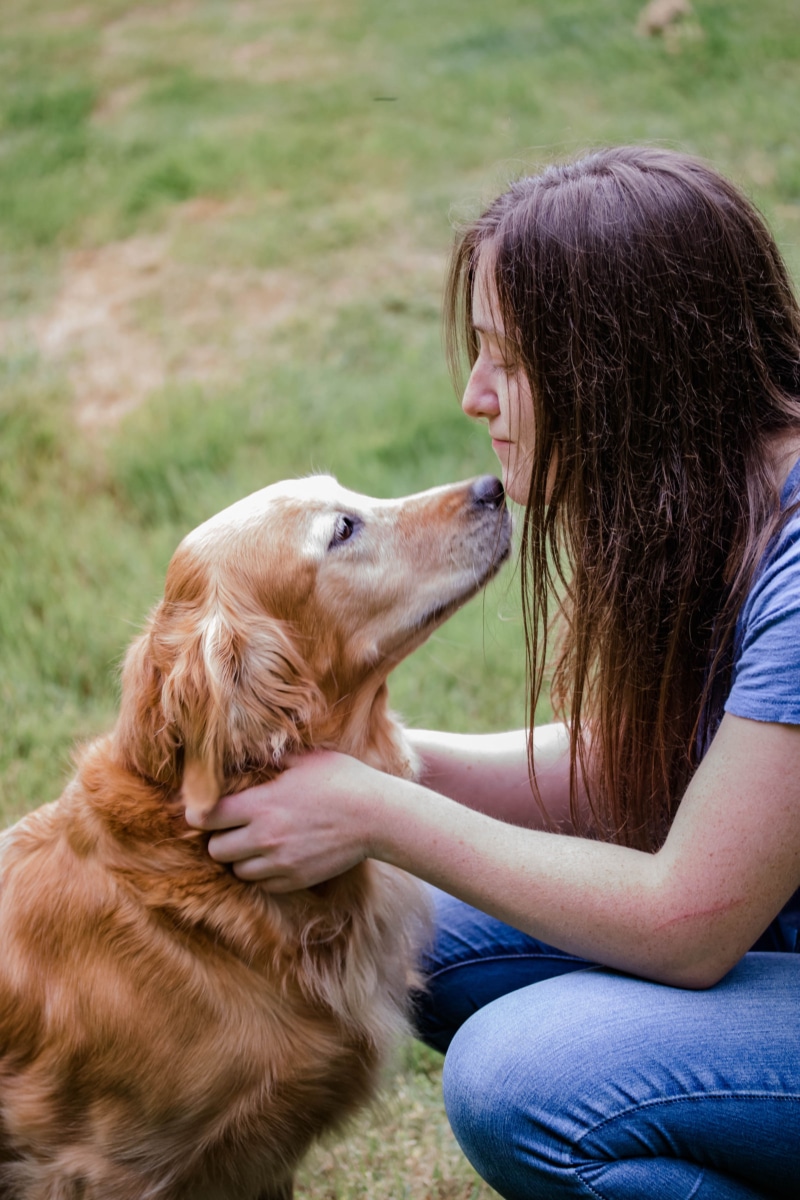 Our Pets Stanwood Veterinarian Vet Clinic Affordable Pet Care