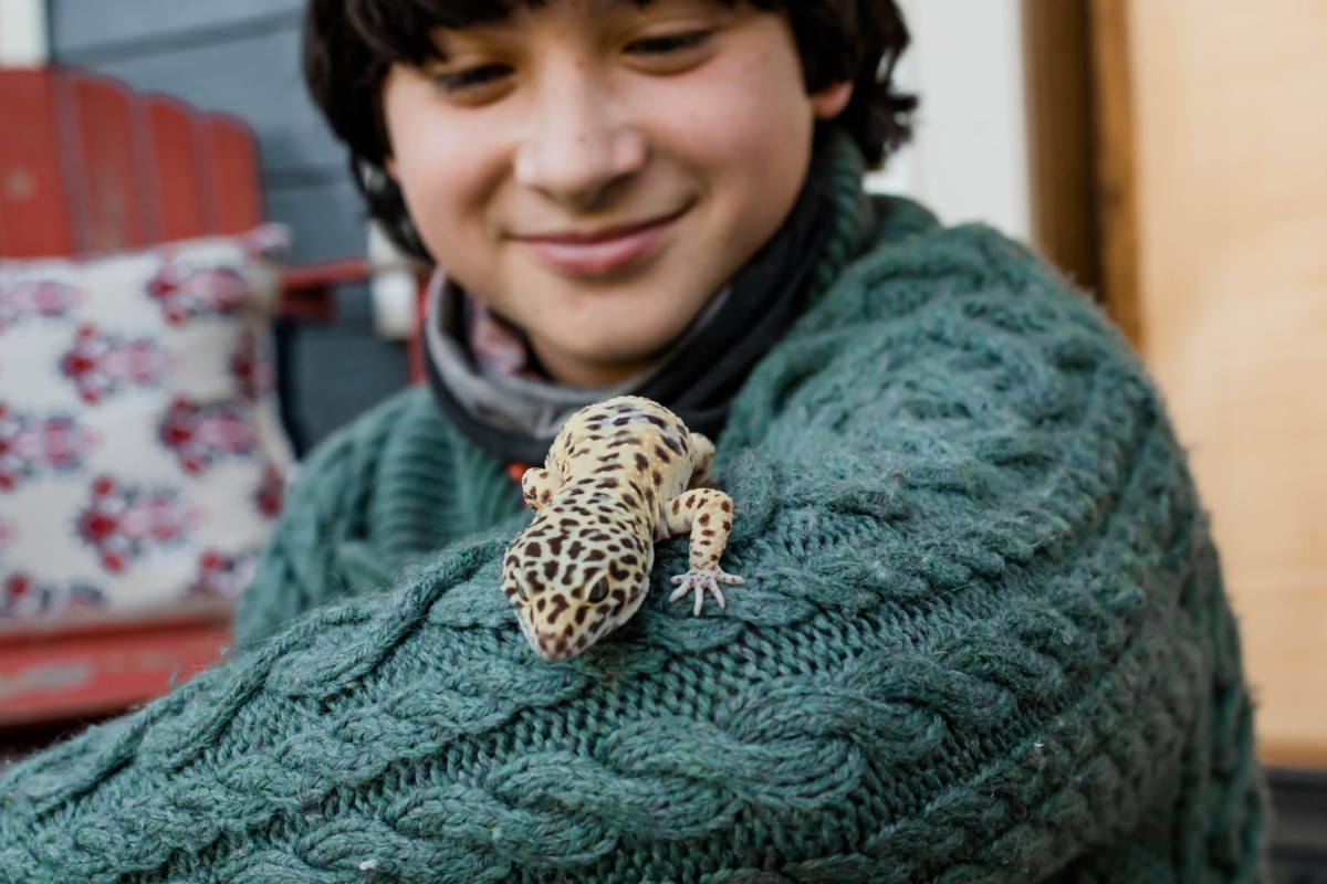 Our Pets Stanwood Veterinarian Vet Clinic Affordable Pet Care