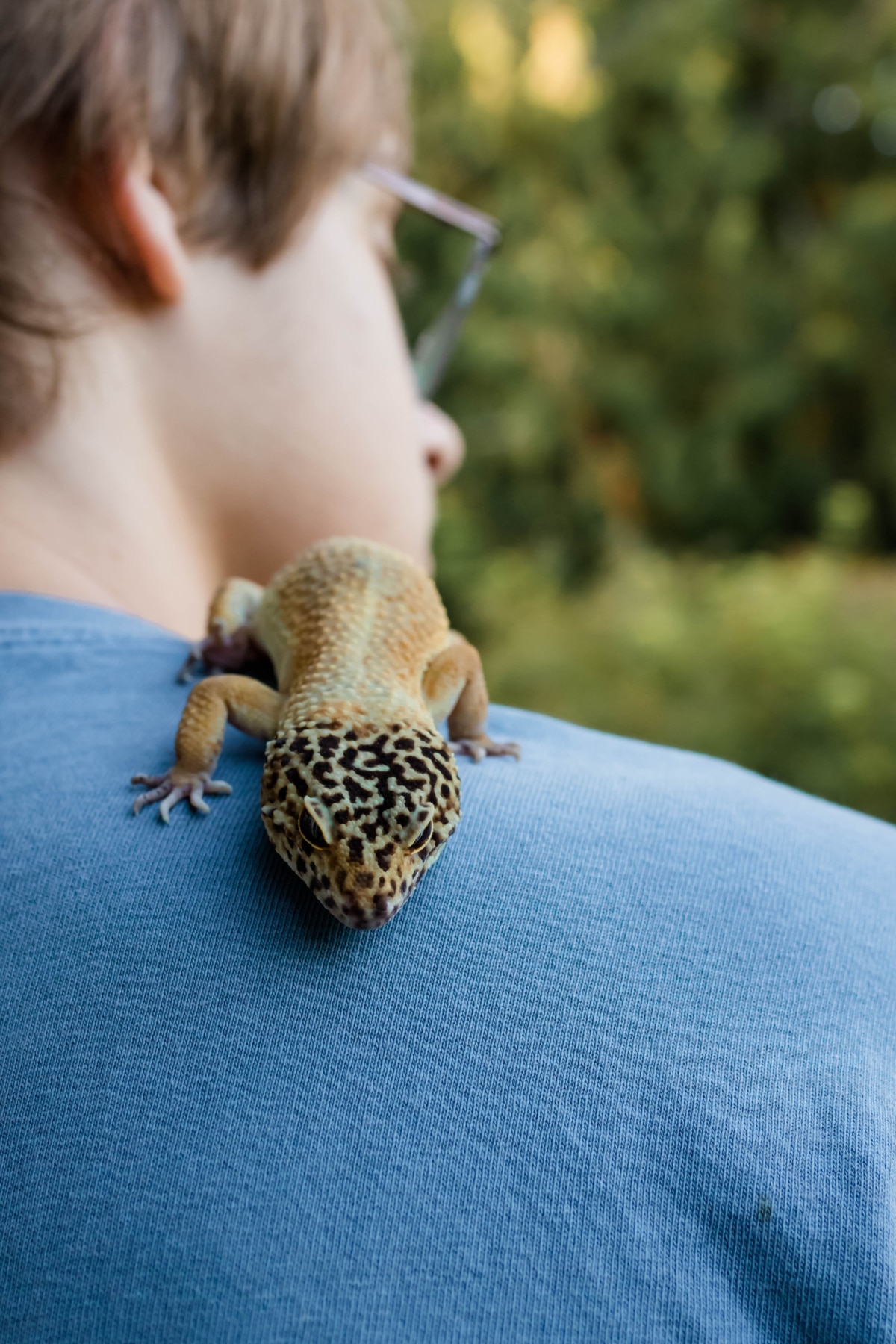 Our Pets Stanwood Veterinarian Vet Clinic Affordable Pet Care