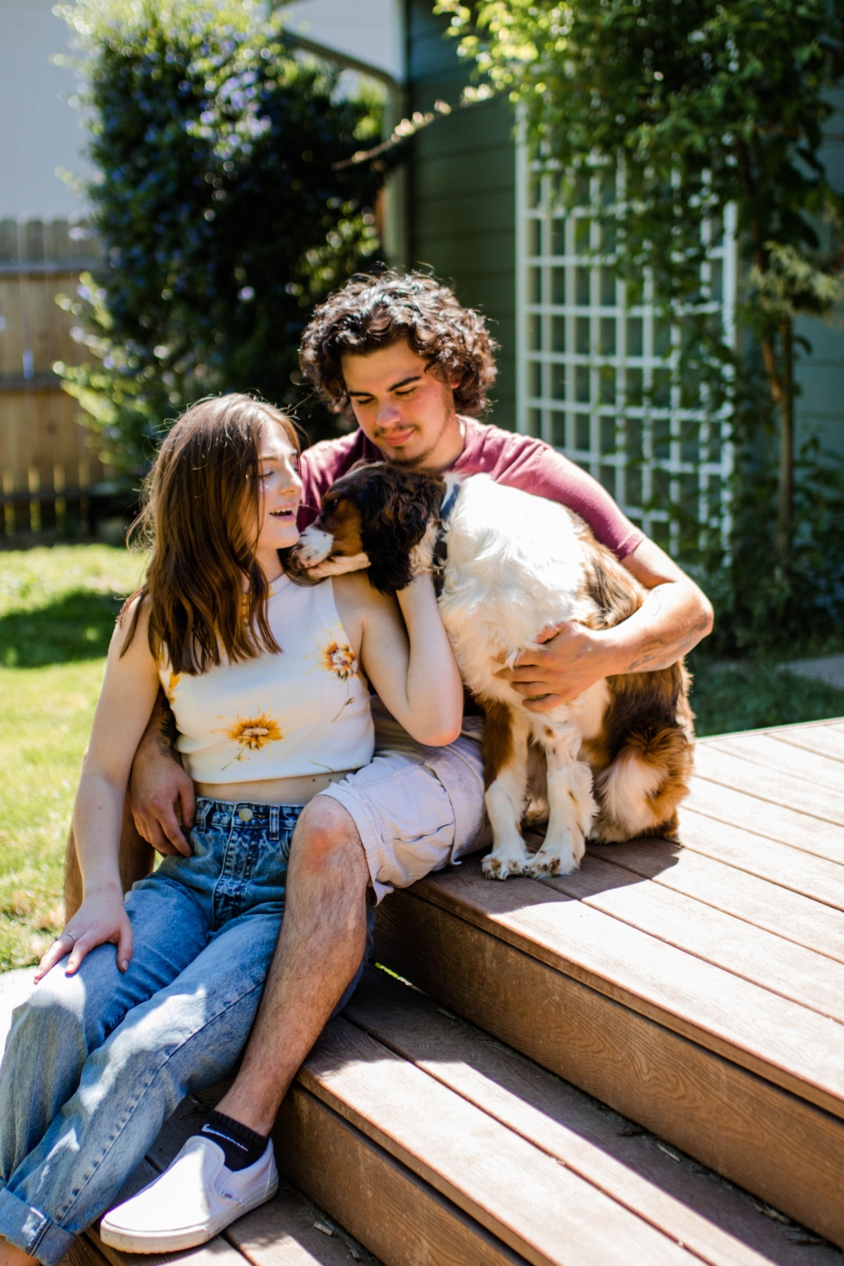 About Us Stanwood Veterinarian Vet Clinic Affordable Pet Care