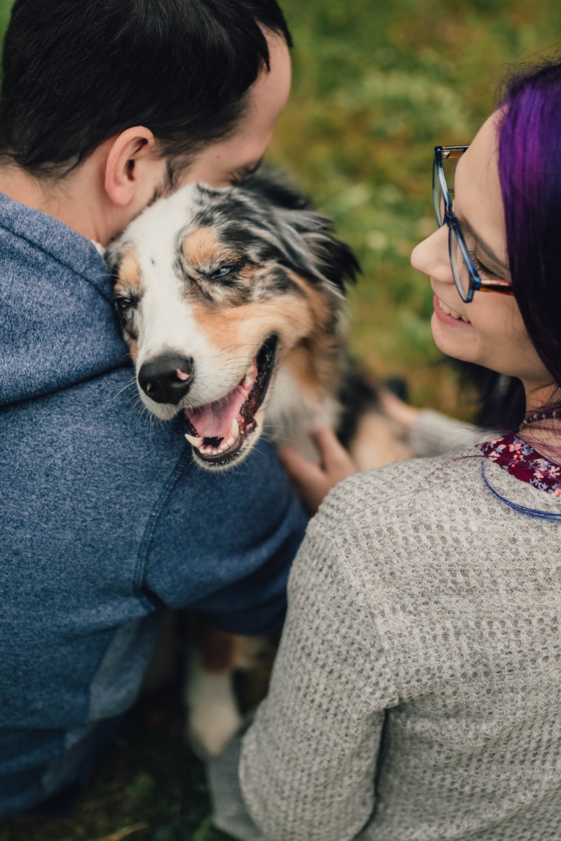 About Us Stanwood Veterinarian Vet Clinic Affordable Pet Care