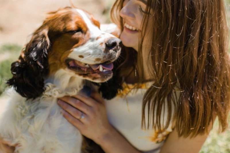 Veterinarian Services Stanwood Veterinarian Vet Clinic Affordable